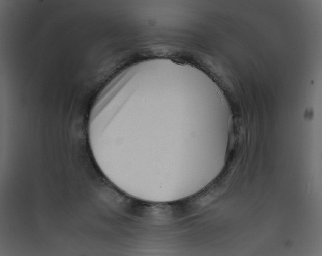 X0000089450317200707131932