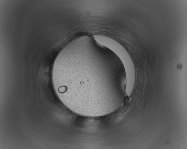 X0000089450319200707131932