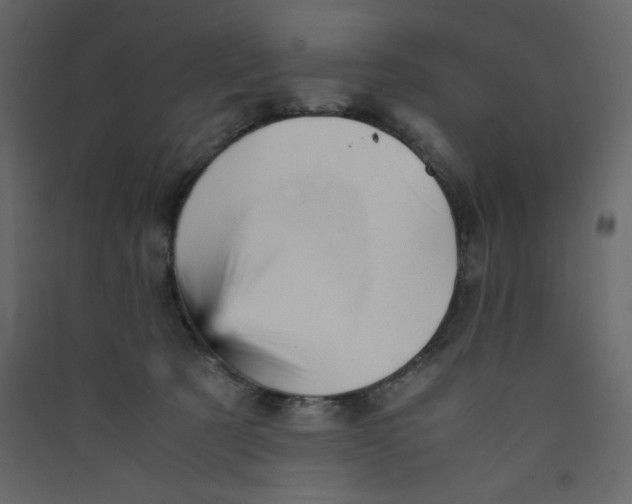 X0000089450321200707131932