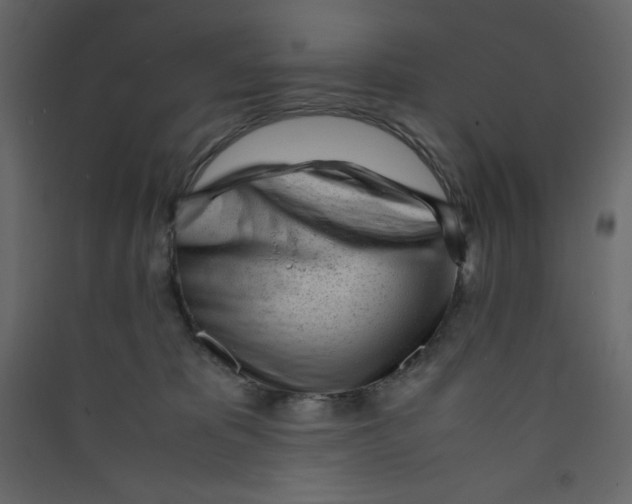 X0000089450325200707131932