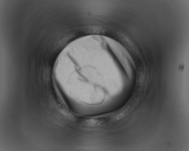 X0000089450326200707131932