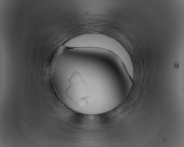 X0000089450329200707131932