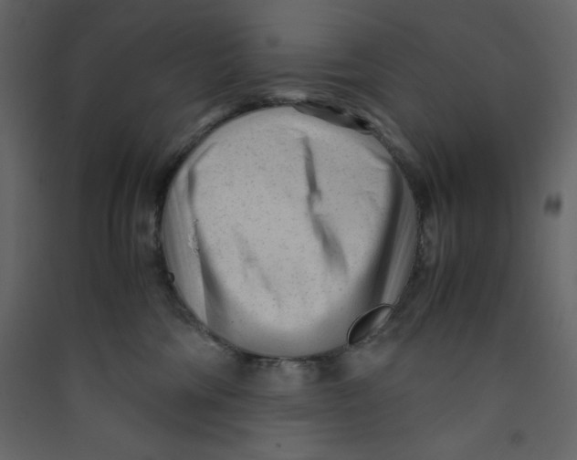 X0000089450330200707131932