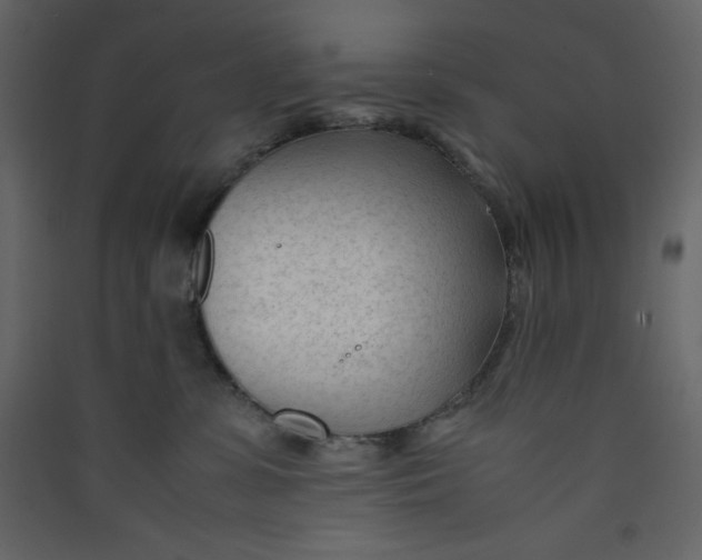 X0000089450331200707131932