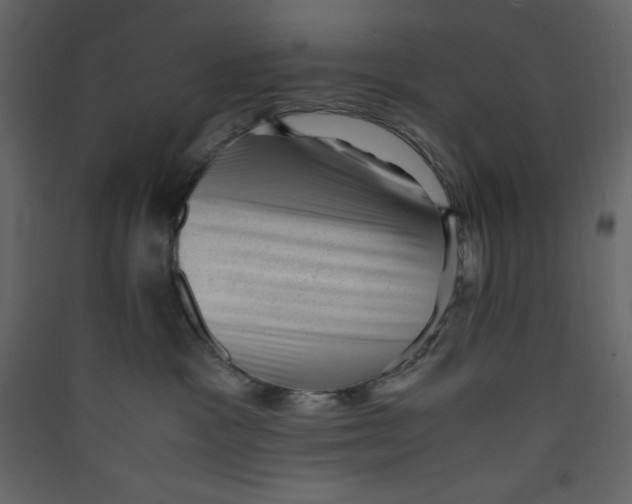 X0000089450333200707131932