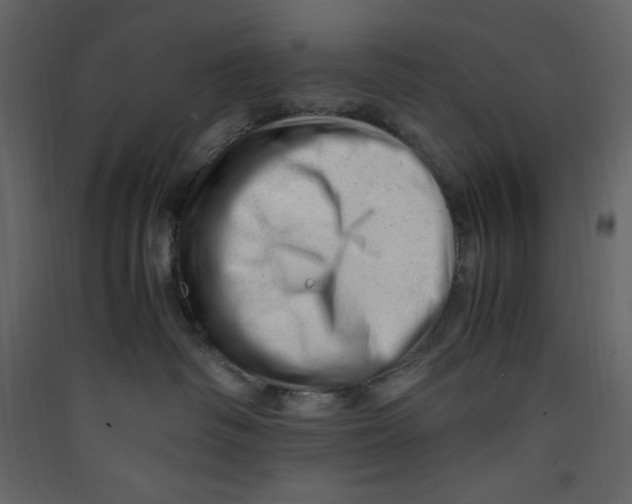 X0000089450334200707131932