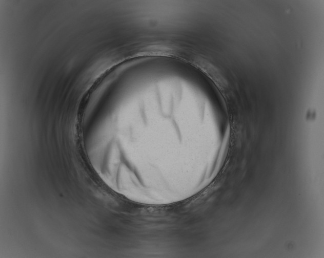 X0000089450338200707131931