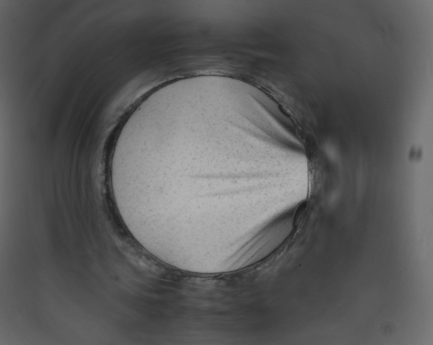 X0000089450339200707131931