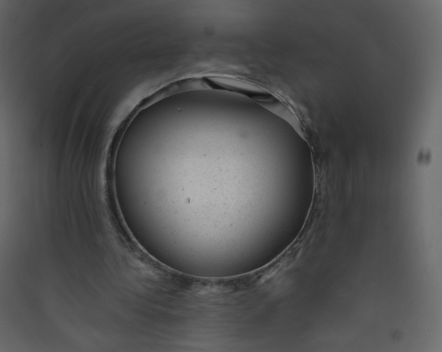 X0000089450340200707131931