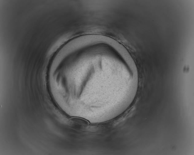 X0000089450341200707131931