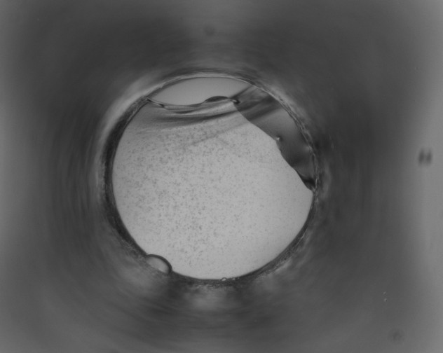 X0000089450343200707131931