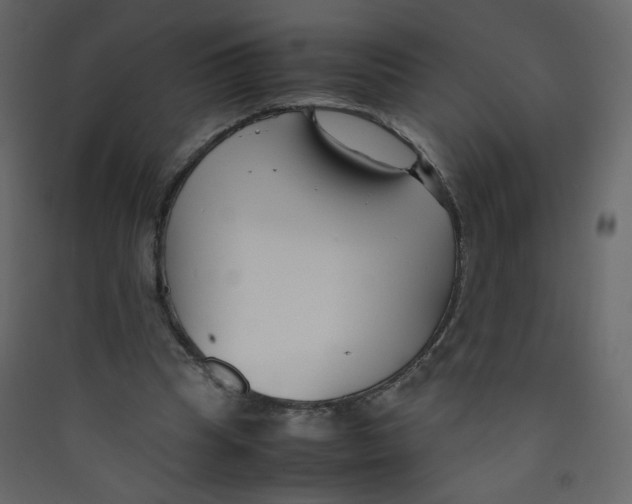 X0000089450345200707131931