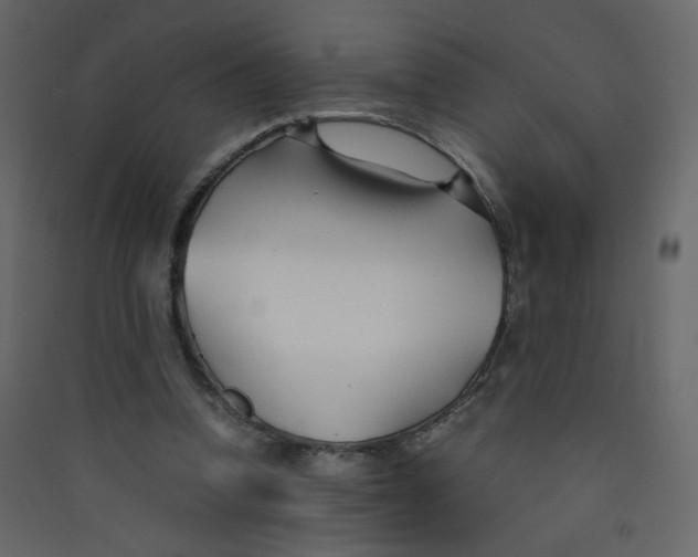 X0000089450346200707131931