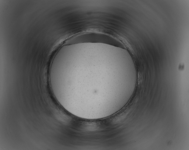 X0000089450349200707131931