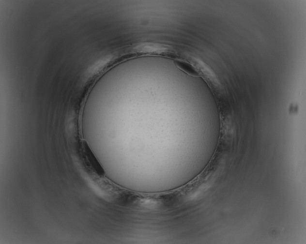 X0000089450352200707131931