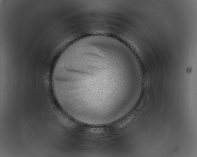 X0000089450353200707131931