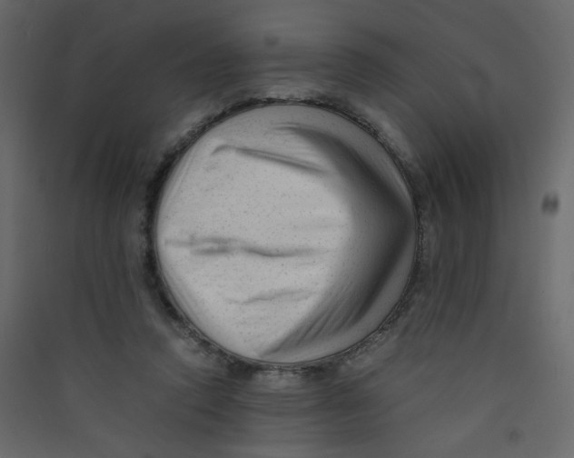 X0000089450354200707131931