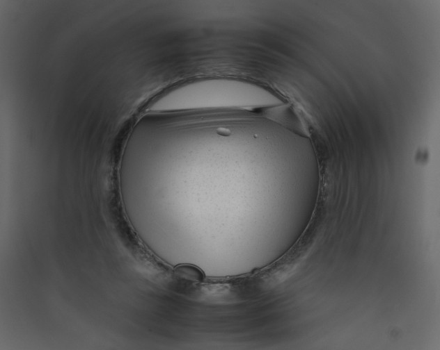 X0000089450355200707131931