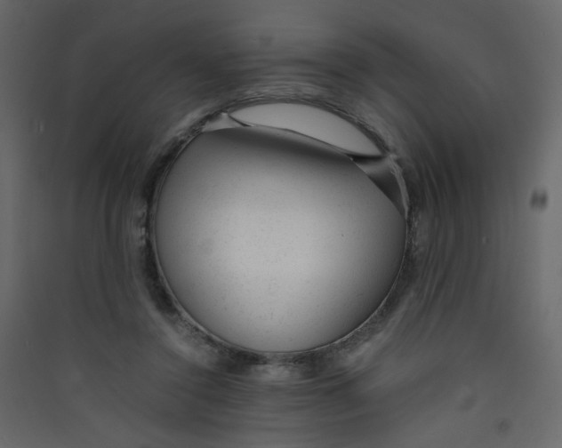 X0000089450356200707131931