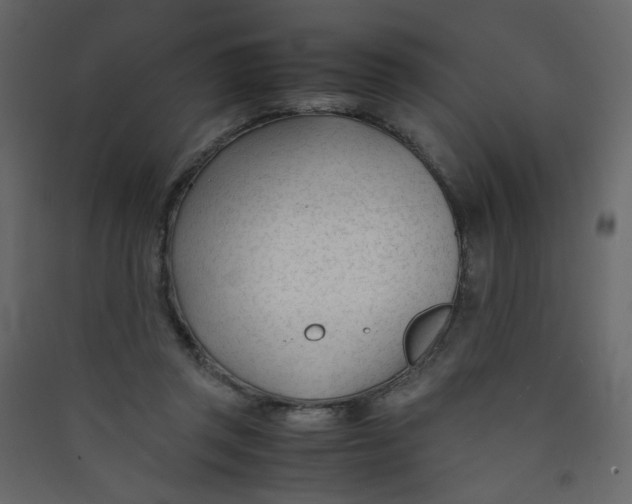 X0000089450357200707131931