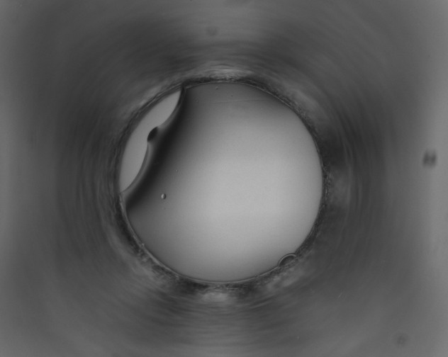 X0000089450358200707131931