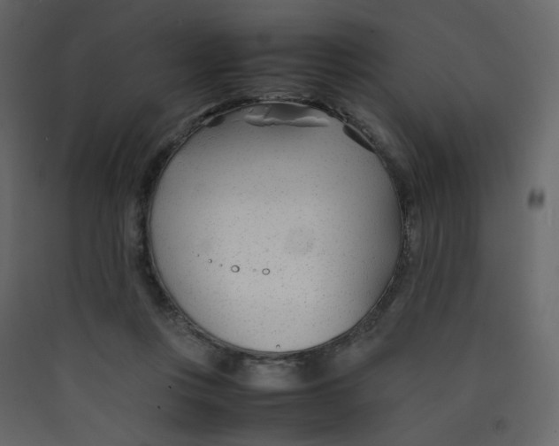 X0000089450359200707131931