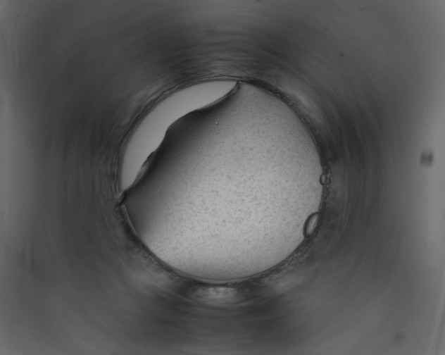 X0000089450361200707131931