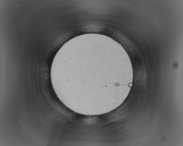 X0000089450362200707131932