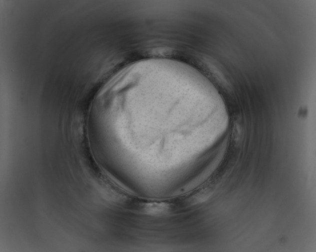 X0000089450363200707131932