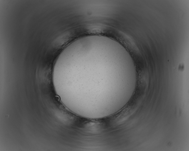 X0000089450364200707131932