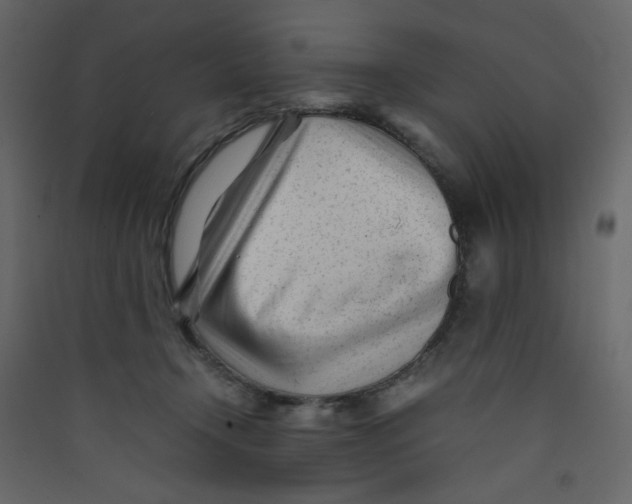 X0000089450366200707131932