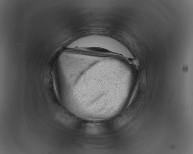 X0000089450367200707131932