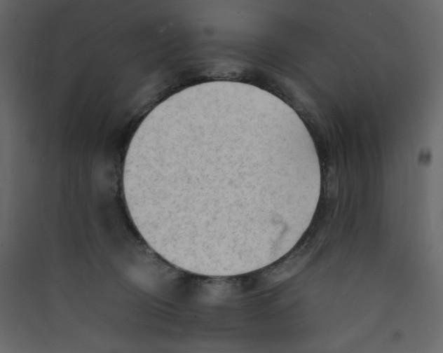 X0000089450370200707131932