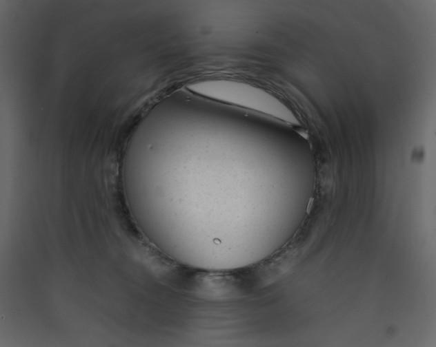 X0000089450372200707131932