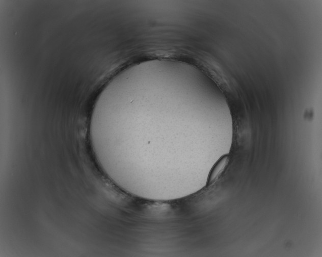 X0000089450374200707131932