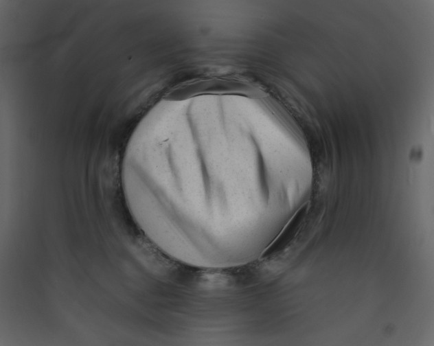 X0000089450376200707131932