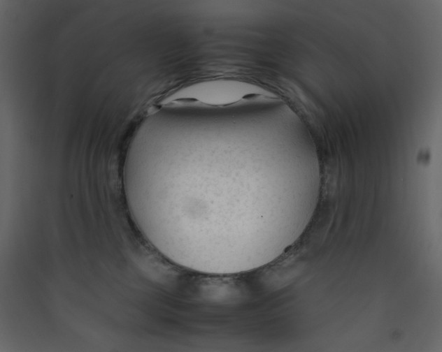 X0000089450377200707131932