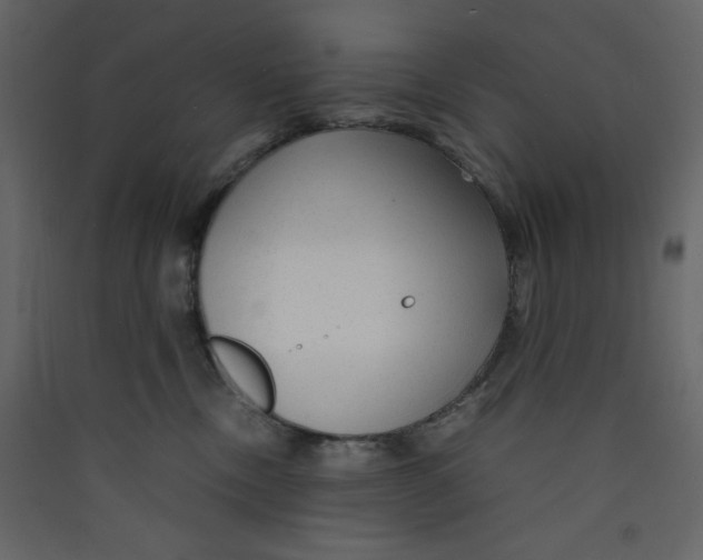 X0000089450378200707131932