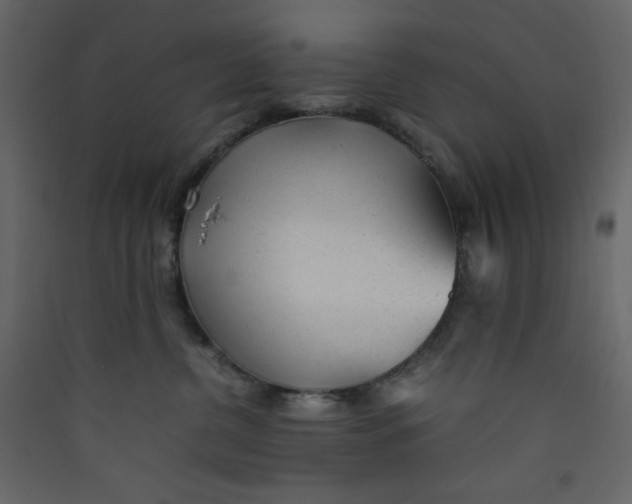 X0000089450380200707131932