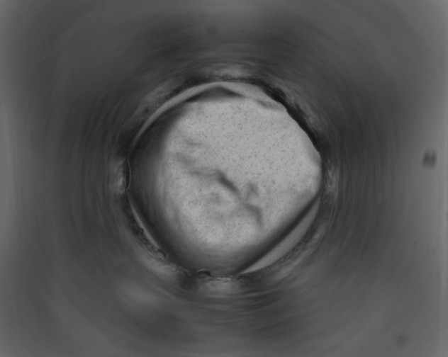 X0000089450383200707131932