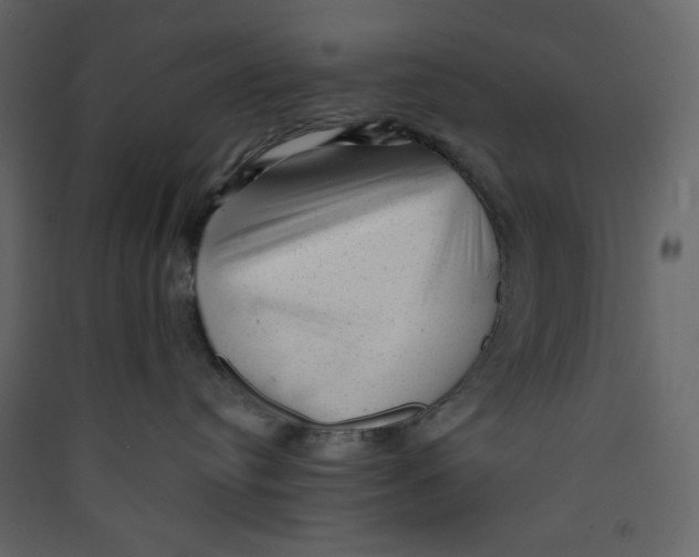 X0000089450384200707131932