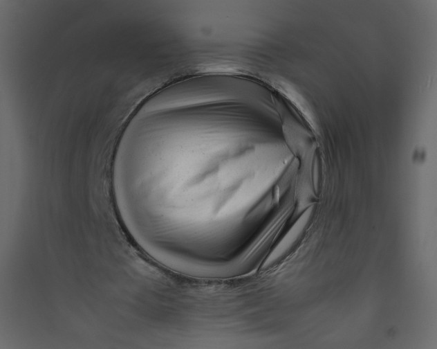 X0000089450385200707131931