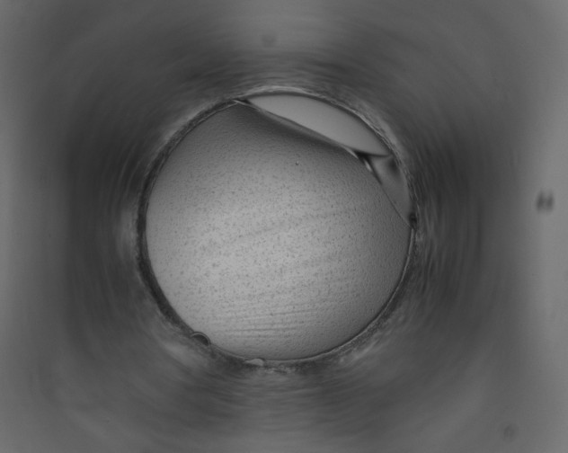 X0000089450386200707131931