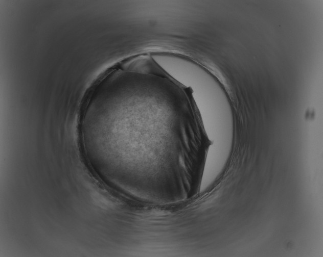 X0000089450387200707131931