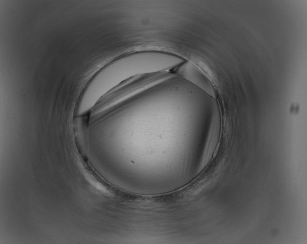 X0000089450389200707131931