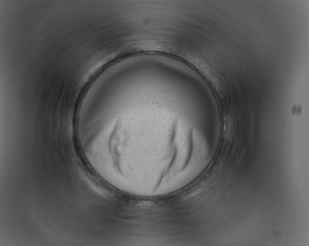 X0000089450390200707131931