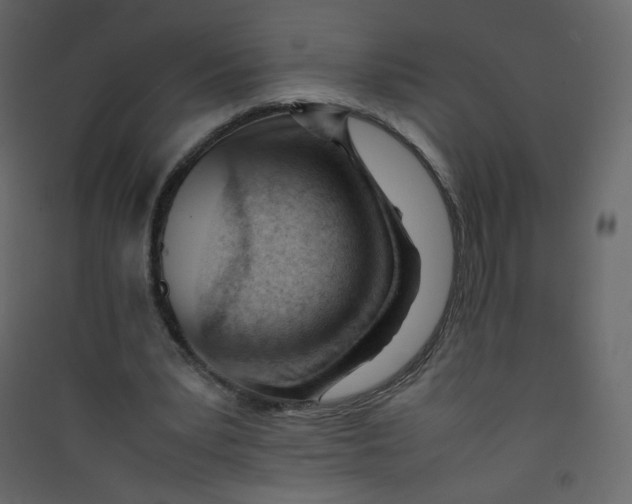 X0000089450391200707131931