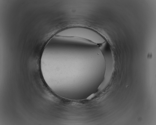 X0000089450393200707131931