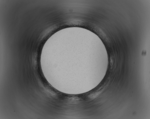 X0000089450396200707131931