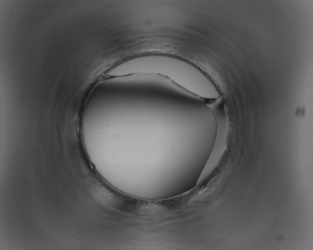 X0000089450397200707131931